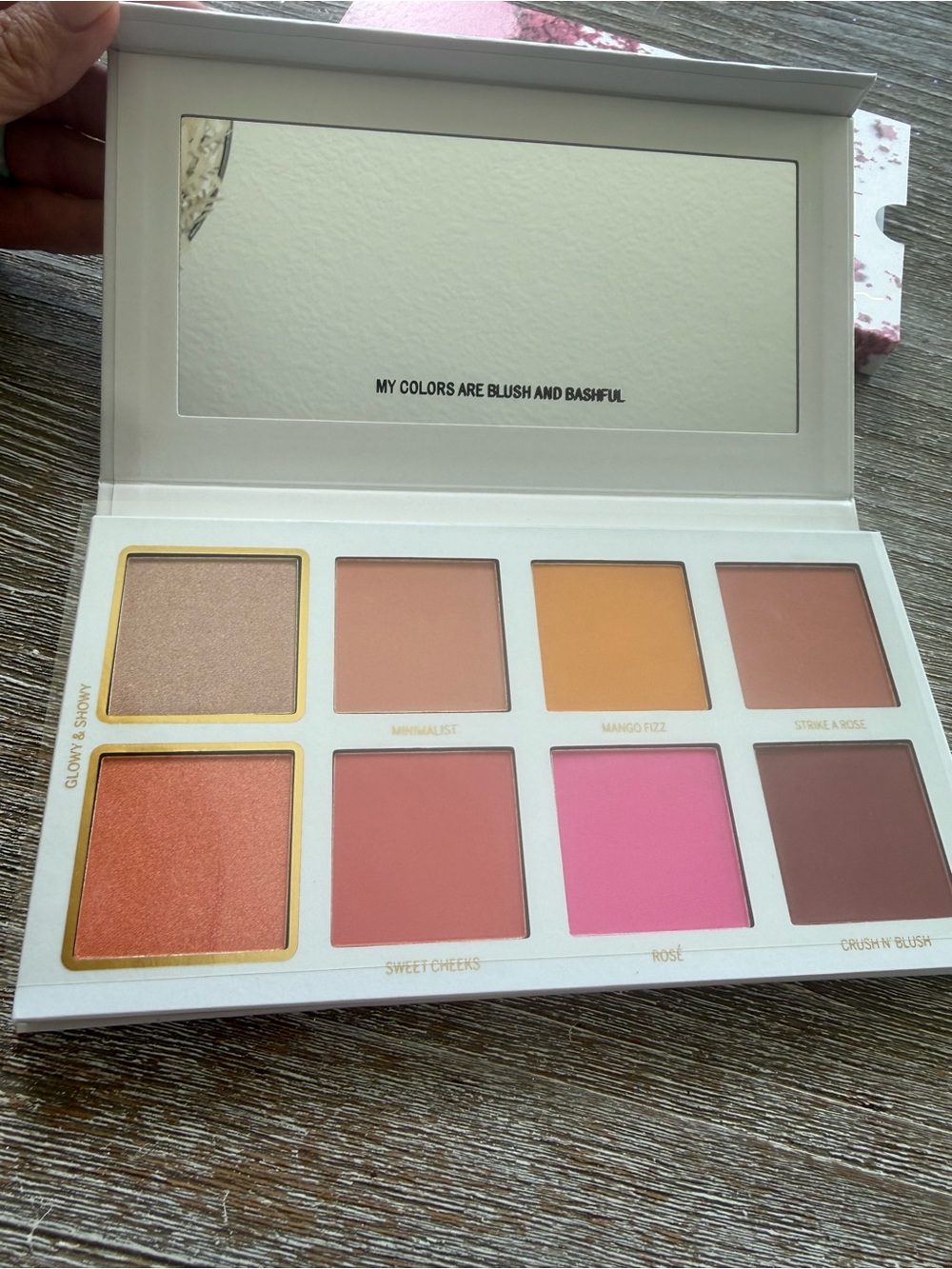Scott Barnes Chic cheek Blush Pallete